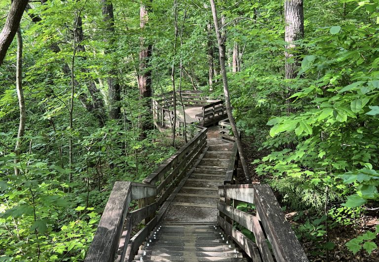 Park Feature: Hemlock Bluffs
