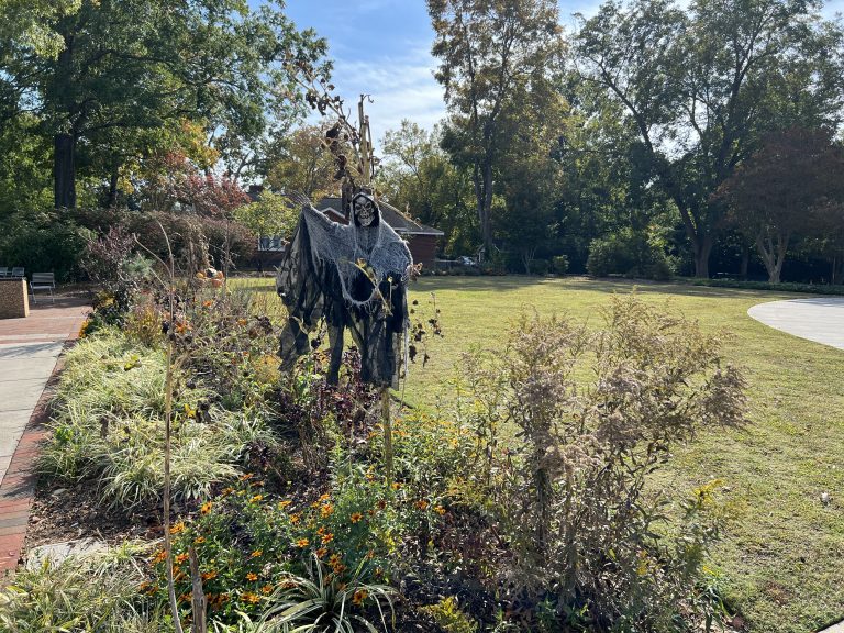 Cary Gets Into the Halloween Spirit With Fun Events for the Whole Family