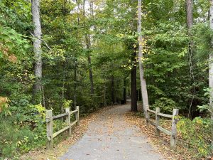 It’s Starting to Feel Like Fall! Here is When and Where You Can Expect to See the Best Foliage