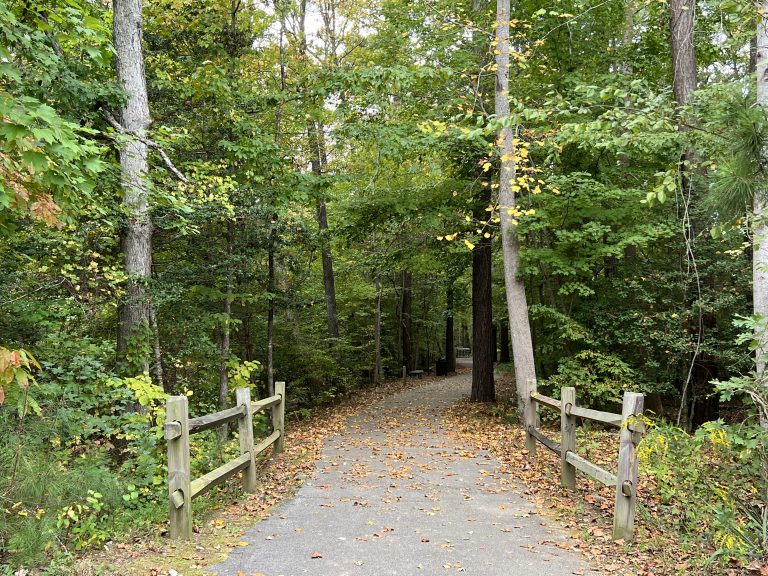 It’s Starting to Feel Like Fall! Here is When and Where You Can Expect to See the Best Foliage