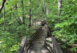 The Swift Creek Loop Trail in Hemlock Bluffs Closed for Maintenance