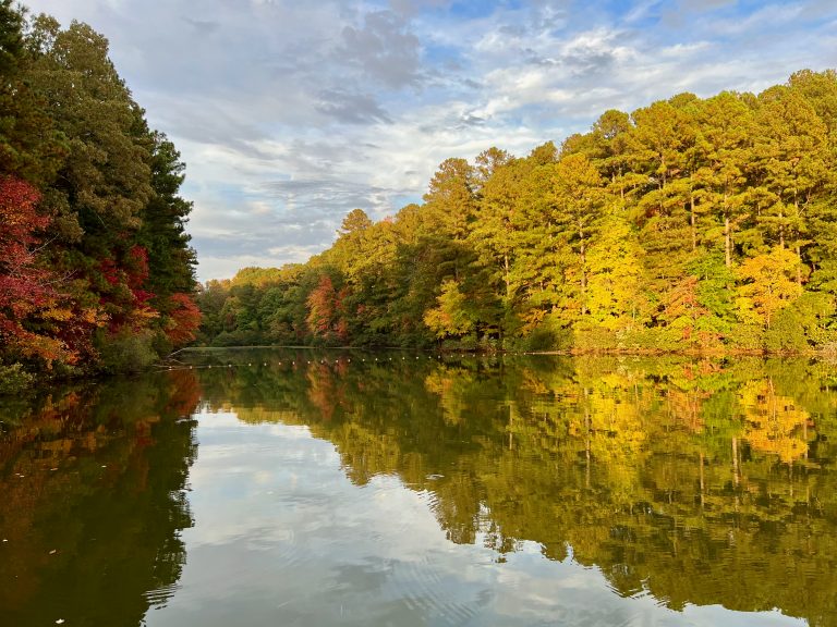 Park Feature: Apex Community Park