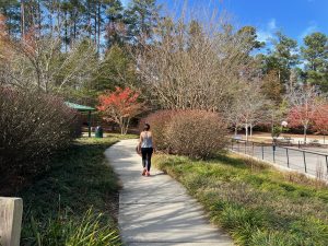 Park Feature: Ed Yerha Park