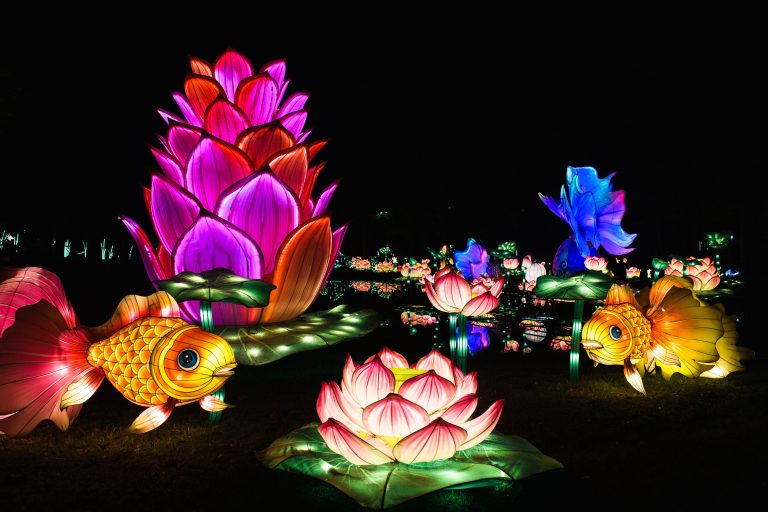 NC Chinese Lantern Festival Returns to Cary Saturday, 11/15