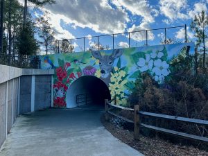 White Oak Creek Greenway Offers Around 7 Miles of Pure Cycling Bliss