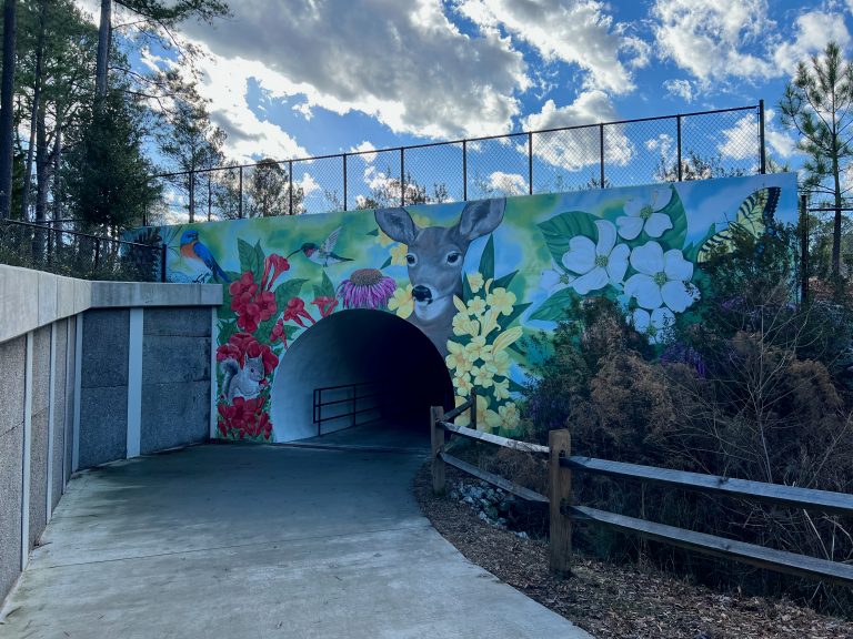 White Oak Creek Greenway Offers Around 7 Miles of Pure Cycling Bliss