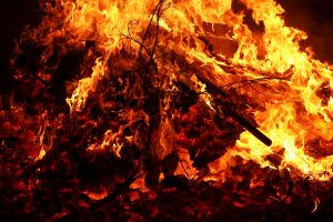 Annual Prescribed Burn of Hemlock Bluffs to Occur Between Now and April