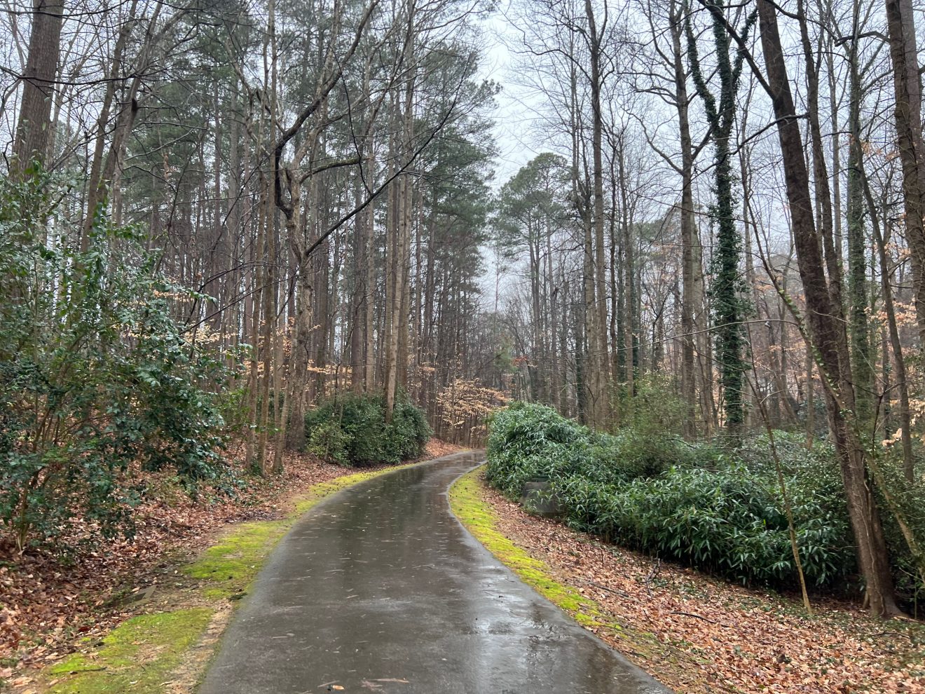 Greenway of the Month (February) Annie Jones Greenway The Cary Report