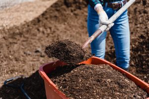Cary Food Waste Pilot Program Exceeds Expectations – Becomes Permanent