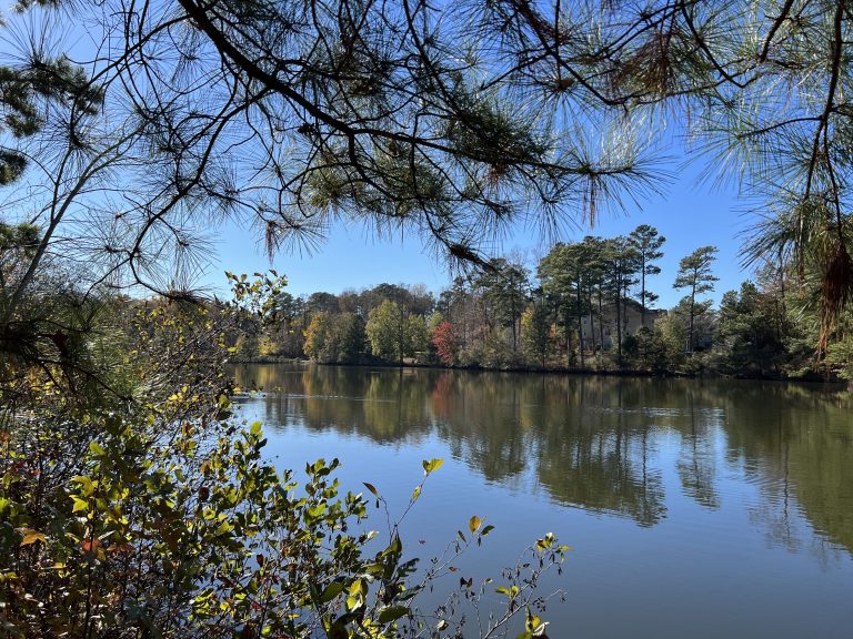 Greenway of the Month (March): Speight Branch Greenway