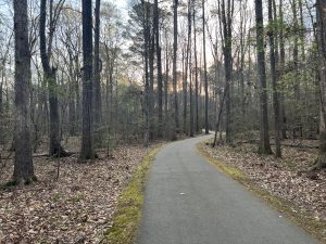 Got Crocs? The Town of Cary is Hosting a Croc Walk Event This Friday, July 28th
