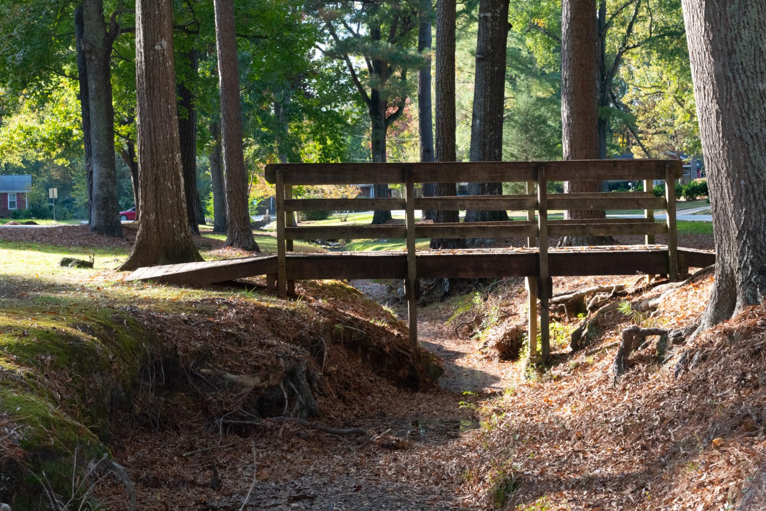 Park Feature Dorothy Park The Cary Report