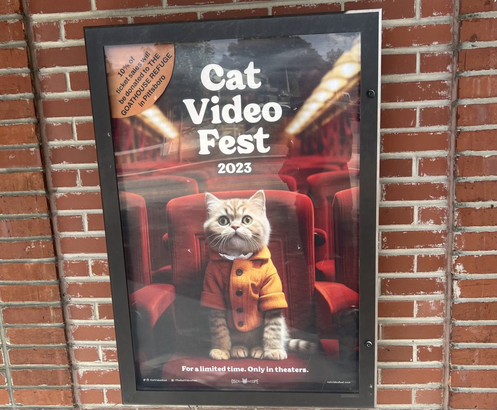 The Cary Theater is Hosting a 73-Minute Cat Video Compilation – Here’s What to Know