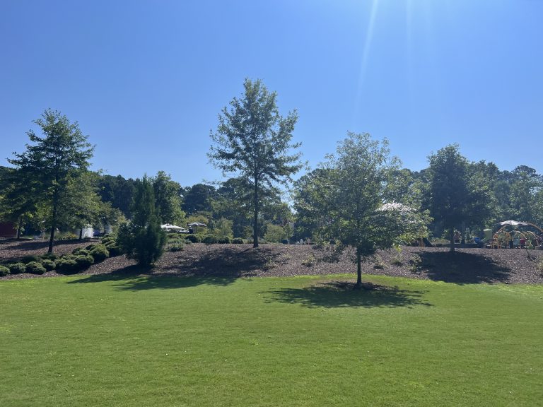 Park Feature: Jack Smith Park