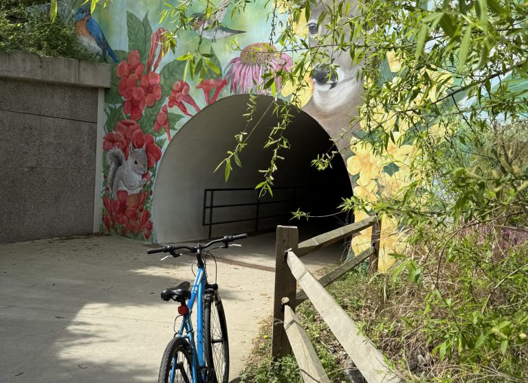 E-Bikes Allowed on Cary Greenways Permanently: What You Should Know