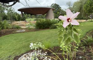 Downtown Cary Park’s Botanical Garden Quietly Reopens After Drainage Fixes