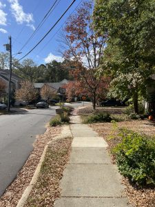 When to Catch Peak Fall Color in Cary (and Where to Go)