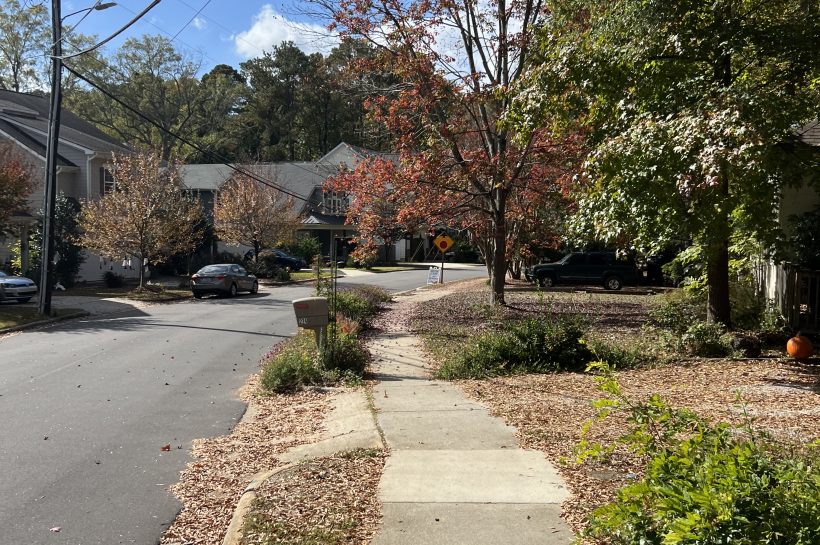 When to Catch Peak Fall Color in Cary (and Where to Go)