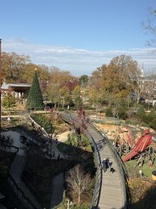 Cary’s Official Christmas Tree Lighting is Just Around the Corner – Here’s What to Know