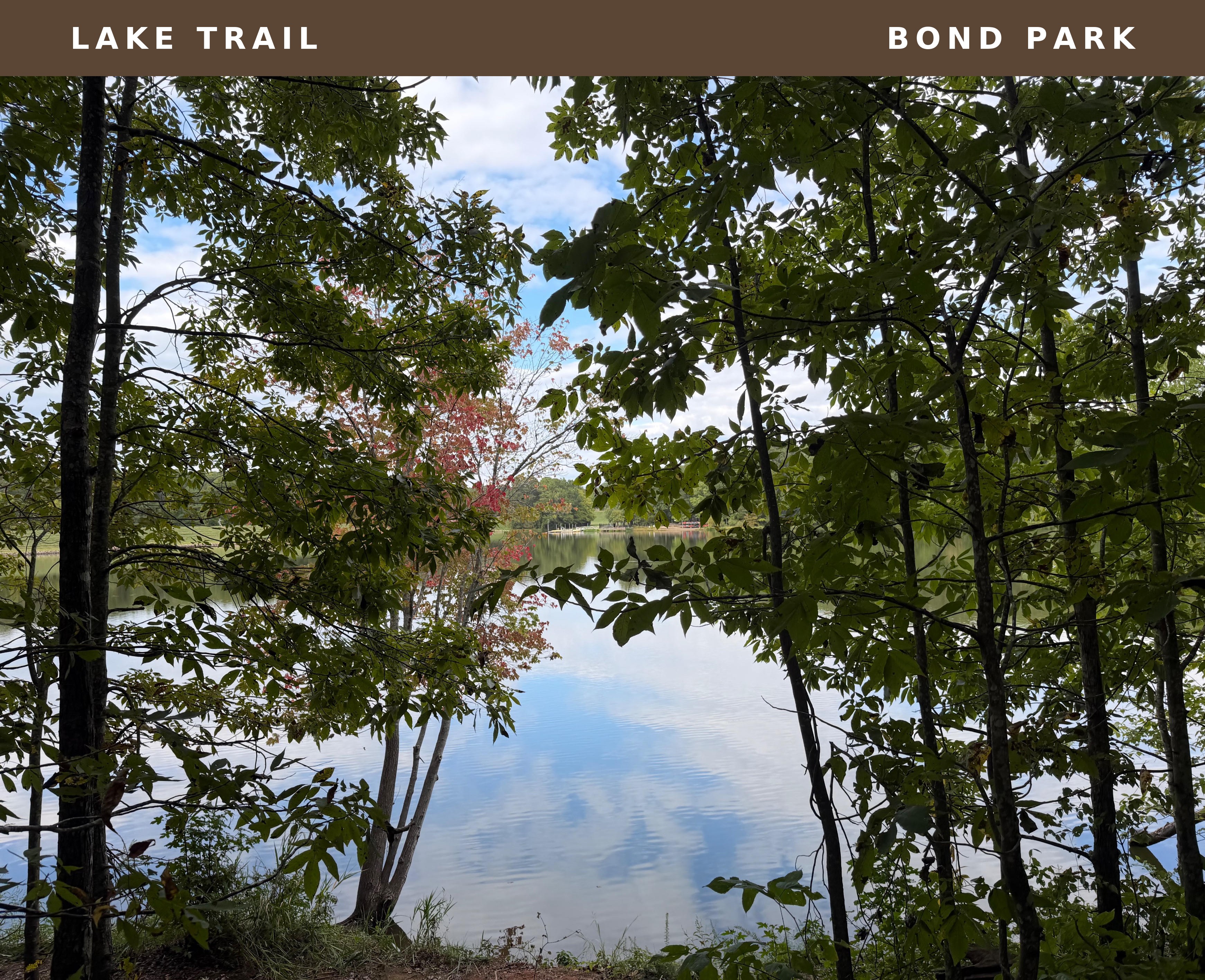 Bond Lake seen through the trees along the Lake Trail, with early fall color