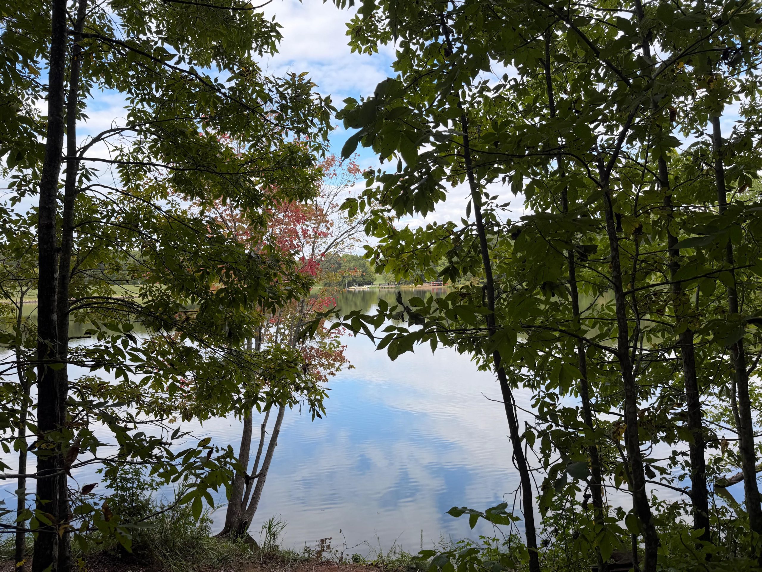 Bond Lake seen through the trees along the Lake Trail, with early fall color