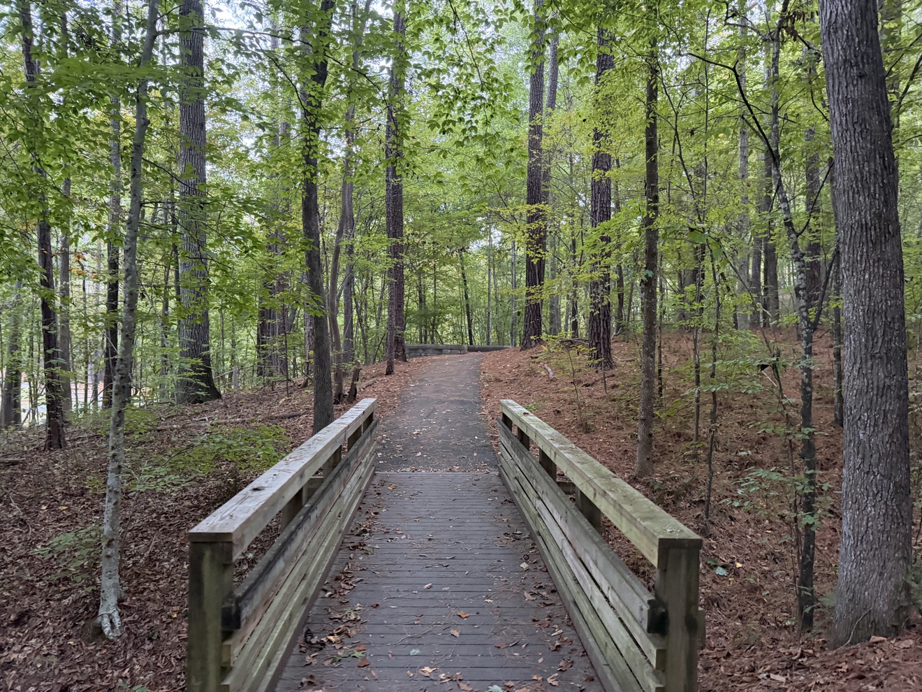 The wooden footbridge on the trails at North Cary Park