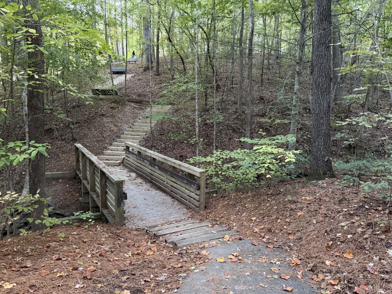 Stone steps on a wooded trail at North Cary Park
